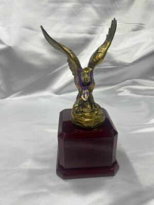 Bronze eagle statue on wooden base.