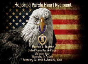 Eagle with Purple Heart, American flag background.
