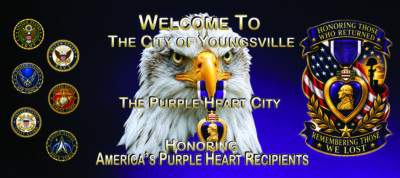 Purple Heart Entity Banner