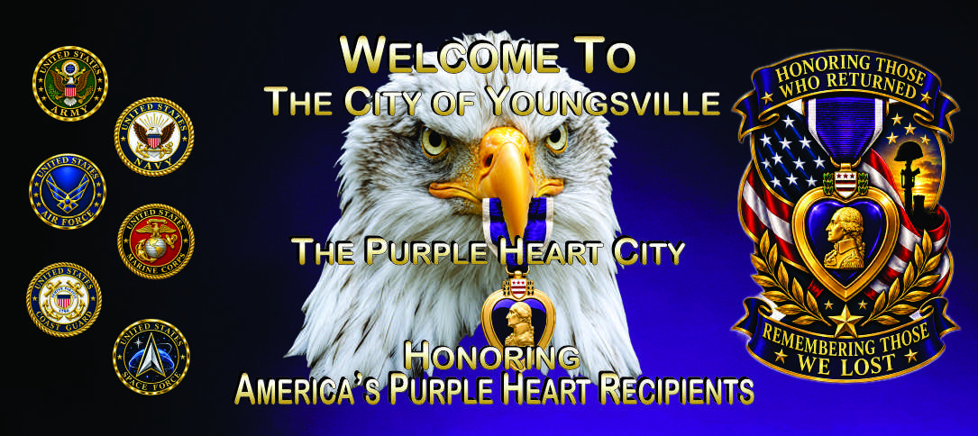 Purple Heart Entity Banner